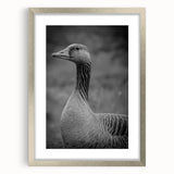 Framed wall art showcasing a minimalist goose design in silver frame with matting, perfect for modern home decor. Ideal for bird lovers and contemporary art enthusiasts.