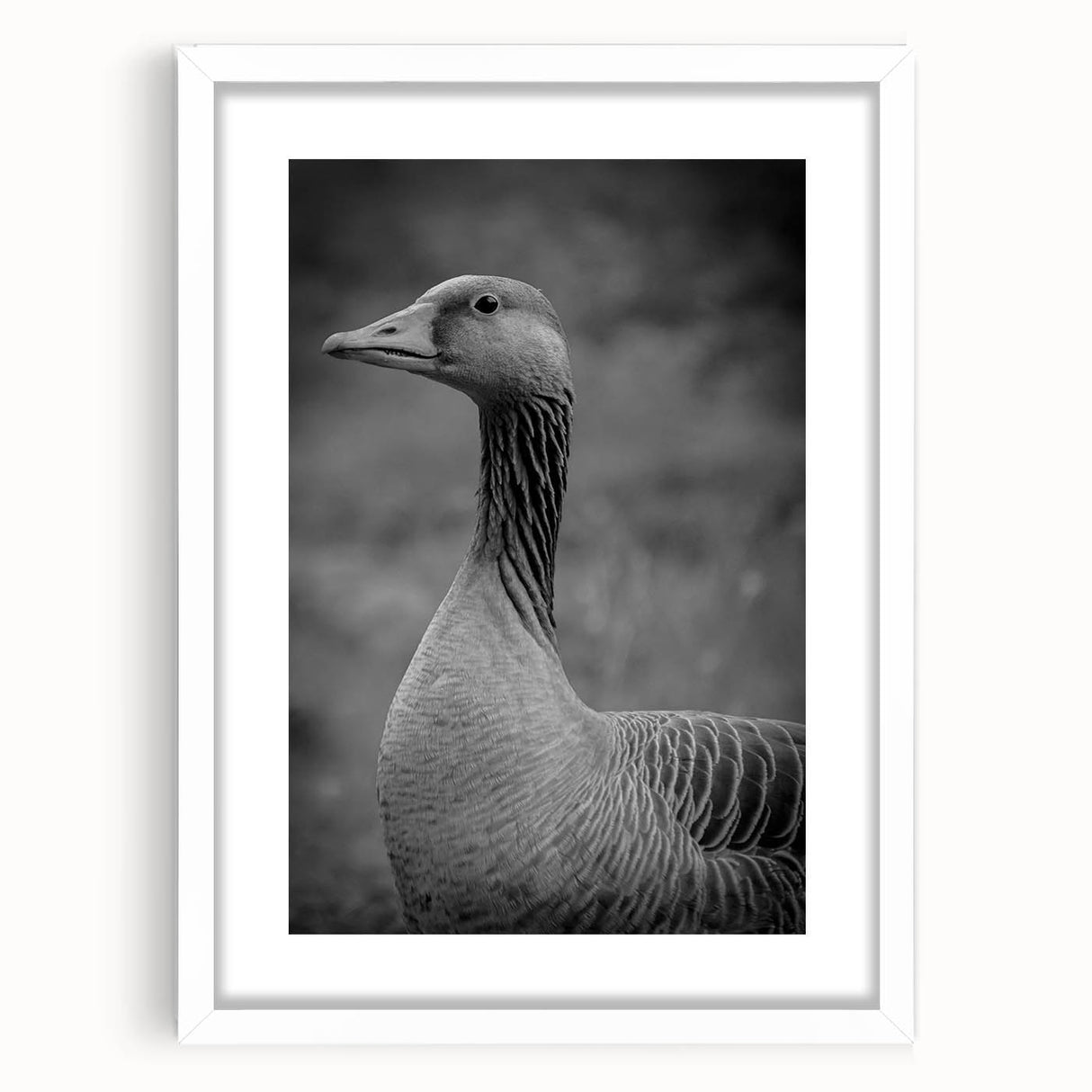 Framed wall art featuring a serene goose design with a white mat, showcasing intricate details and soft colors, perfect for home decor and nature lovers.