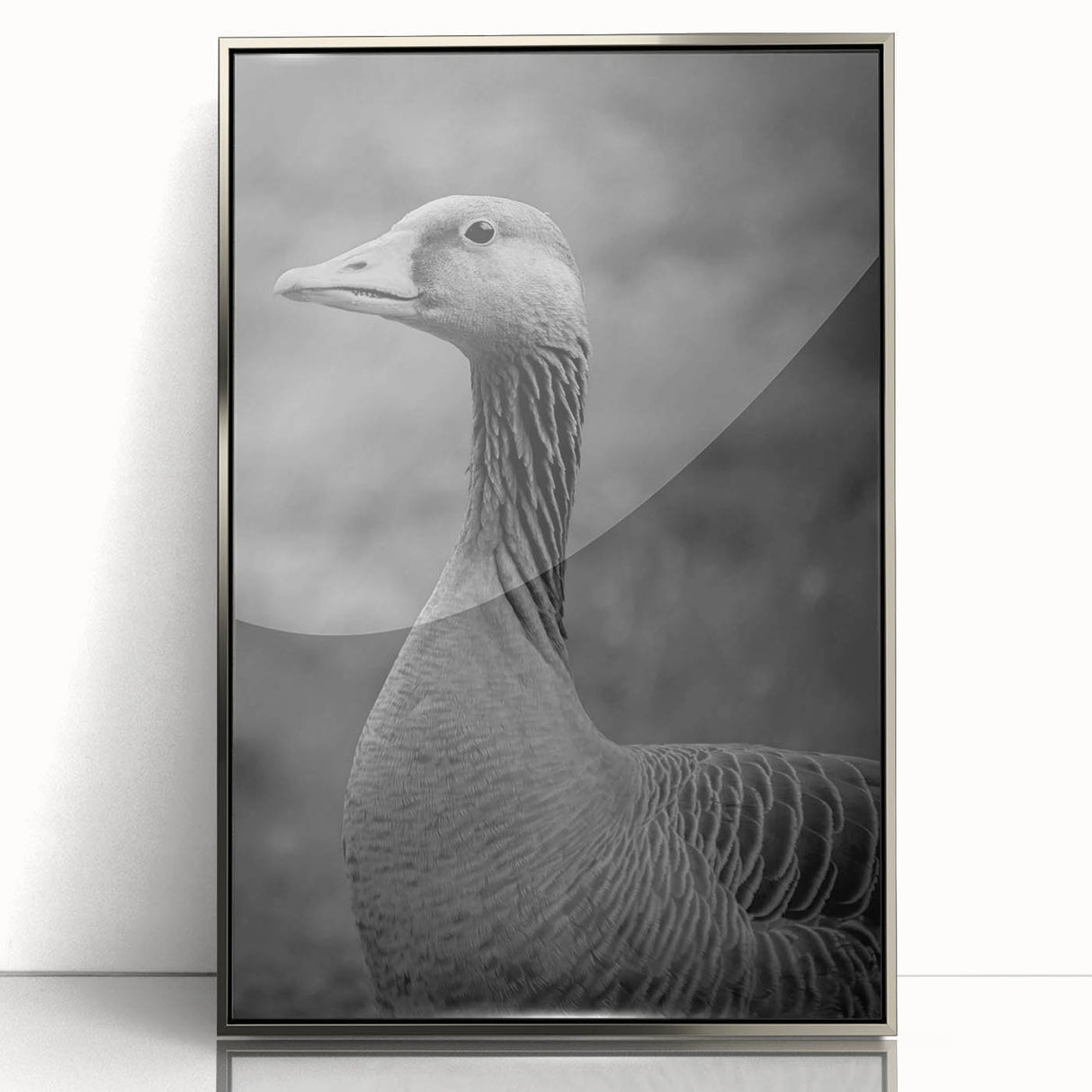 Framed wall art showcasing a serene goose design in acrylic with a sleek silver frame, ideal for enhancing modern decor and creating a calming atmosphere.