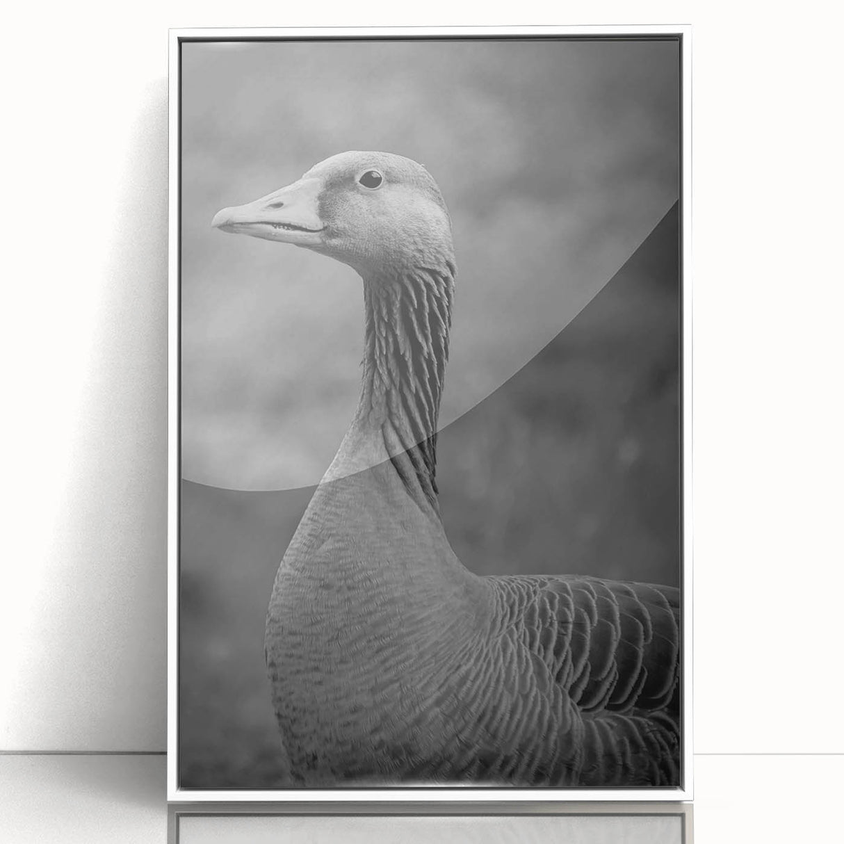 Framed wall art featuring a contemporary goose design in acrylic, showcasing a white frame. Ideal for modern decor, this piece adds elegance to any space.