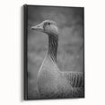 Framed canvas wall art featuring a stylish goose design with a black frame, showcasing elegant colors and intricate details, perfect for modern decor.