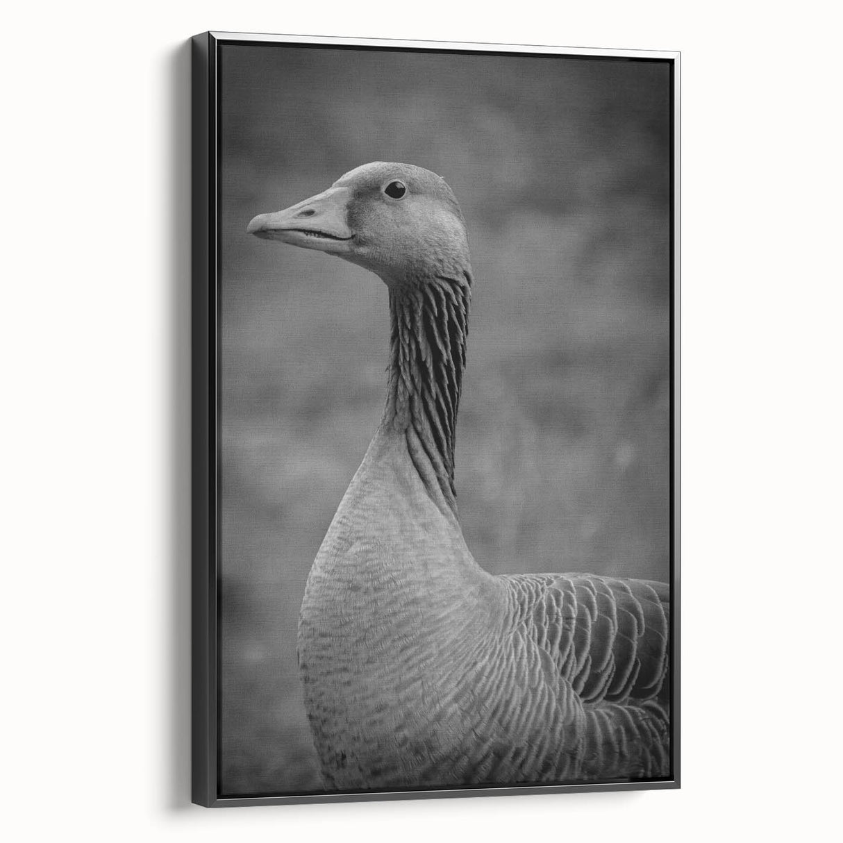 Framed canvas wall art featuring a stylish goose design with a black frame, showcasing elegant colors and intricate details, perfect for modern decor.