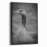 Framed canvas wall art featuring a stylish goose design with a black frame, showcasing elegant colors and intricate details, perfect for modern decor.