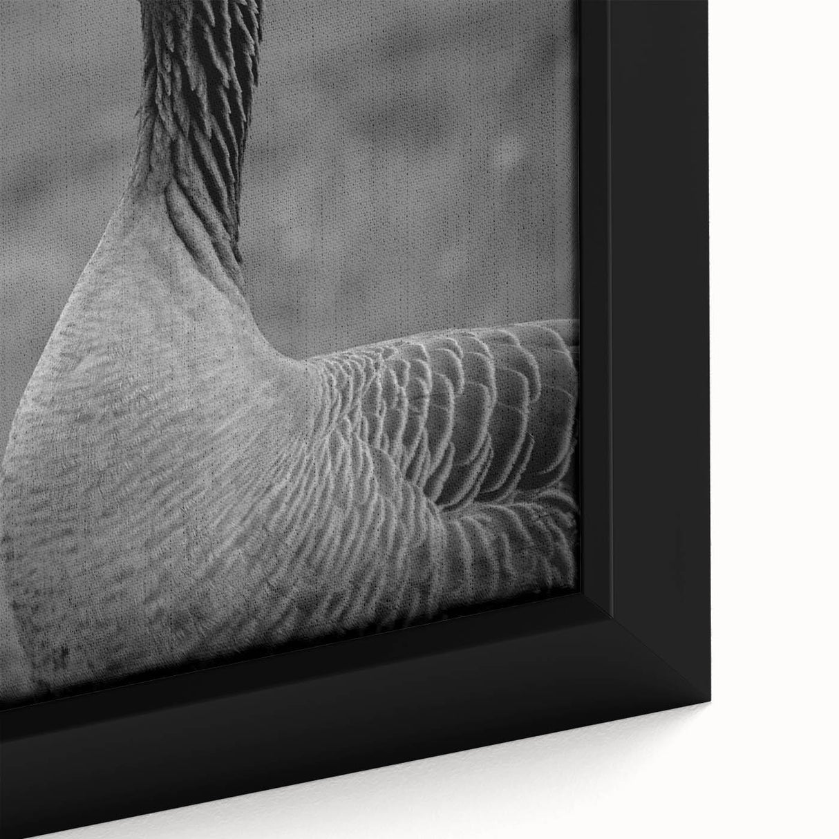 Framed canvas wall art showcasing a detailed close-up of a graceful goose design, featuring soft colors and elegant brush strokes, perfect for home decor.