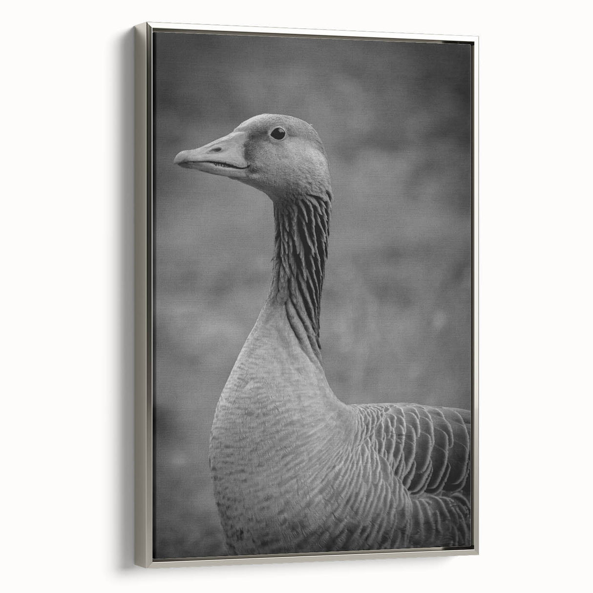 Framed canvas wall art featuring a stylish design of geese in flight, elegantly presented with a silver frame, perfect for modern home decor.