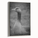 Framed canvas wall art featuring a stylish design of geese in flight, elegantly presented with a silver frame, perfect for modern home decor.