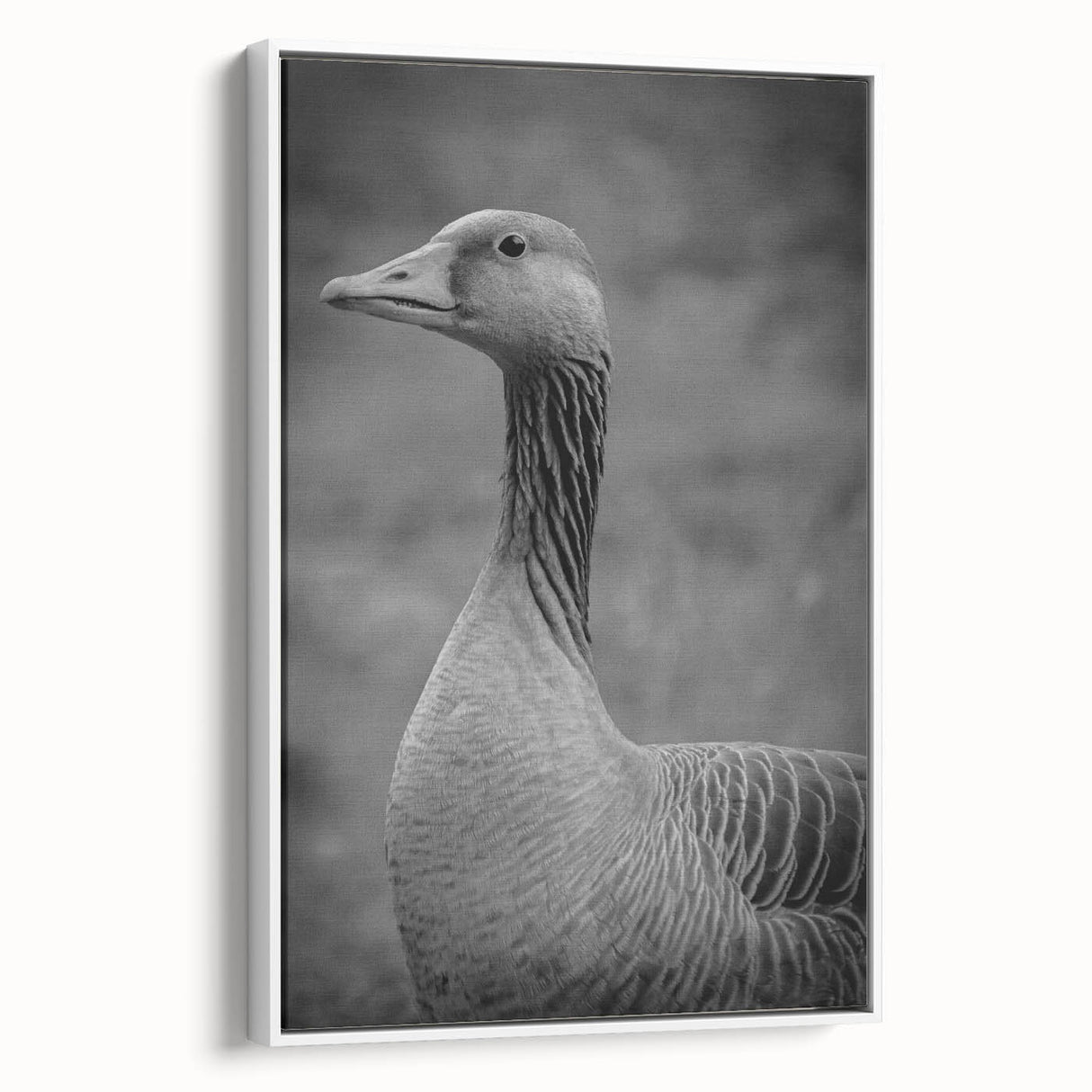 Framed canvas wall art featuring a minimalist white goose design, showcasing elegant lines and soft colors, perfect for modern home decor.