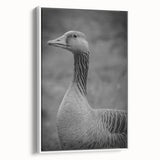 Framed canvas wall art featuring a minimalist white goose design, showcasing elegant lines and soft colors, perfect for modern home decor.