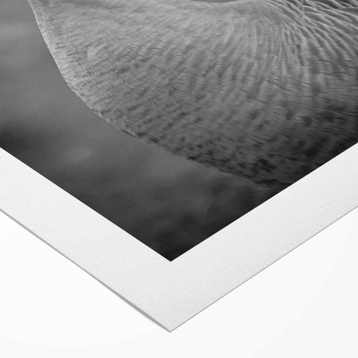 Stylish rolled canvas wall art featuring a vibrant goose design in earthy tones, perfect for home decor. Packaged securely in a cardboard tube for easy transport.
