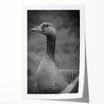Beautifully designed rolled print showcasing a serene scene of geese in a natural setting, ideal for home decor. The artwork features vibrant colors and intricate details, perfect for adding a touch of nature-inspired elegance to any space.
