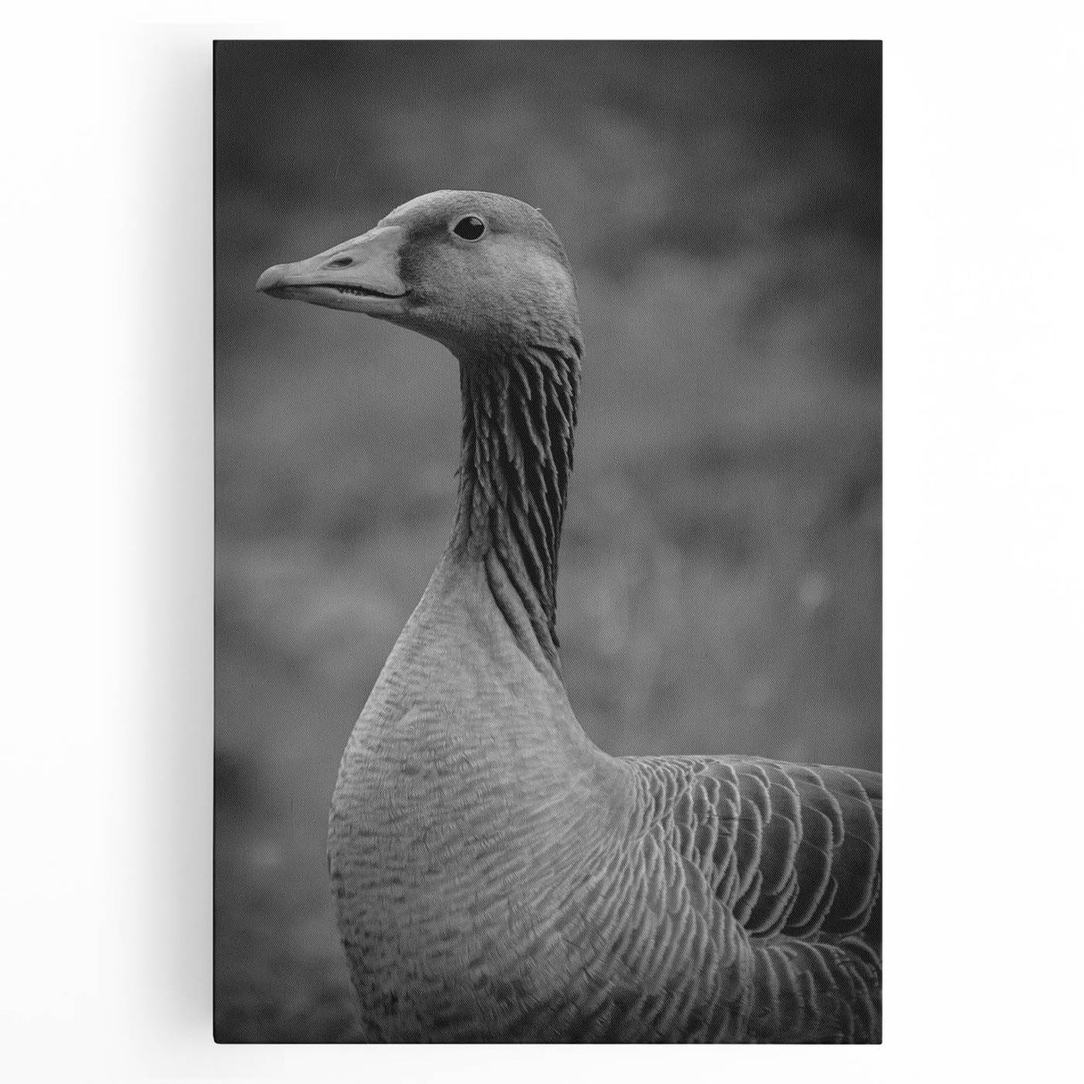Stretched canvas wall art featuring a serene goose design in soft pastel colors, ideal for adding a touch of nature-inspired elegance to any room decor.