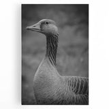Stretched canvas wall art featuring a serene goose design in soft pastel colors, ideal for adding a touch of nature-inspired elegance to any room decor.