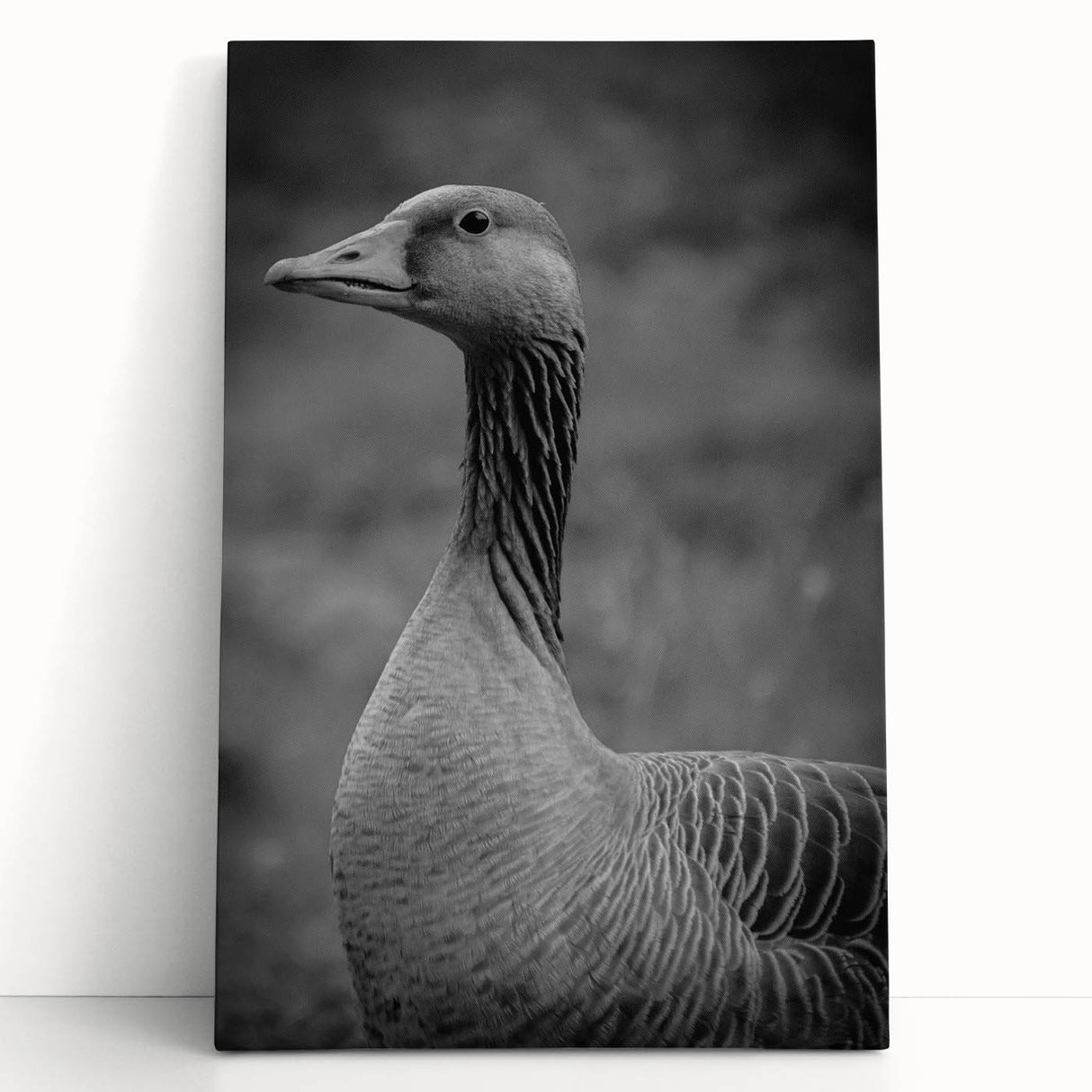 Stretched canvas wall art featuring a serene design of geese in a natural setting, showcasing soft colors and intricate details, perfect for home decor accents.