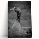 Stretched canvas wall art featuring a serene design of geese in a natural setting, showcasing soft colors and intricate details, perfect for home decor accents.