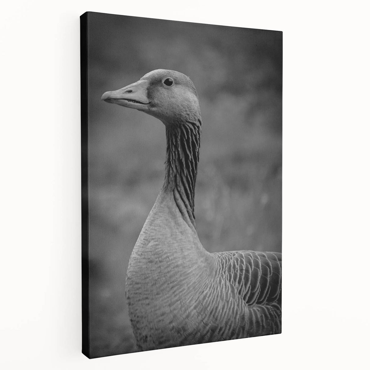 Stretched canvas wall art showcasing a serene goose design in soft pastel colors, perfect for adding a tranquil touch to home decor.