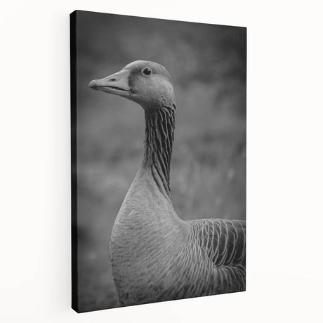 Stretched canvas wall art showcasing a serene goose design in soft pastel colors, perfect for adding a tranquil touch to home decor.