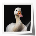 Glossy wall art print featuring a vibrant goose design, showcasing intricate details and bold colors, ideal for enhancing home decor with a nature-inspired theme.