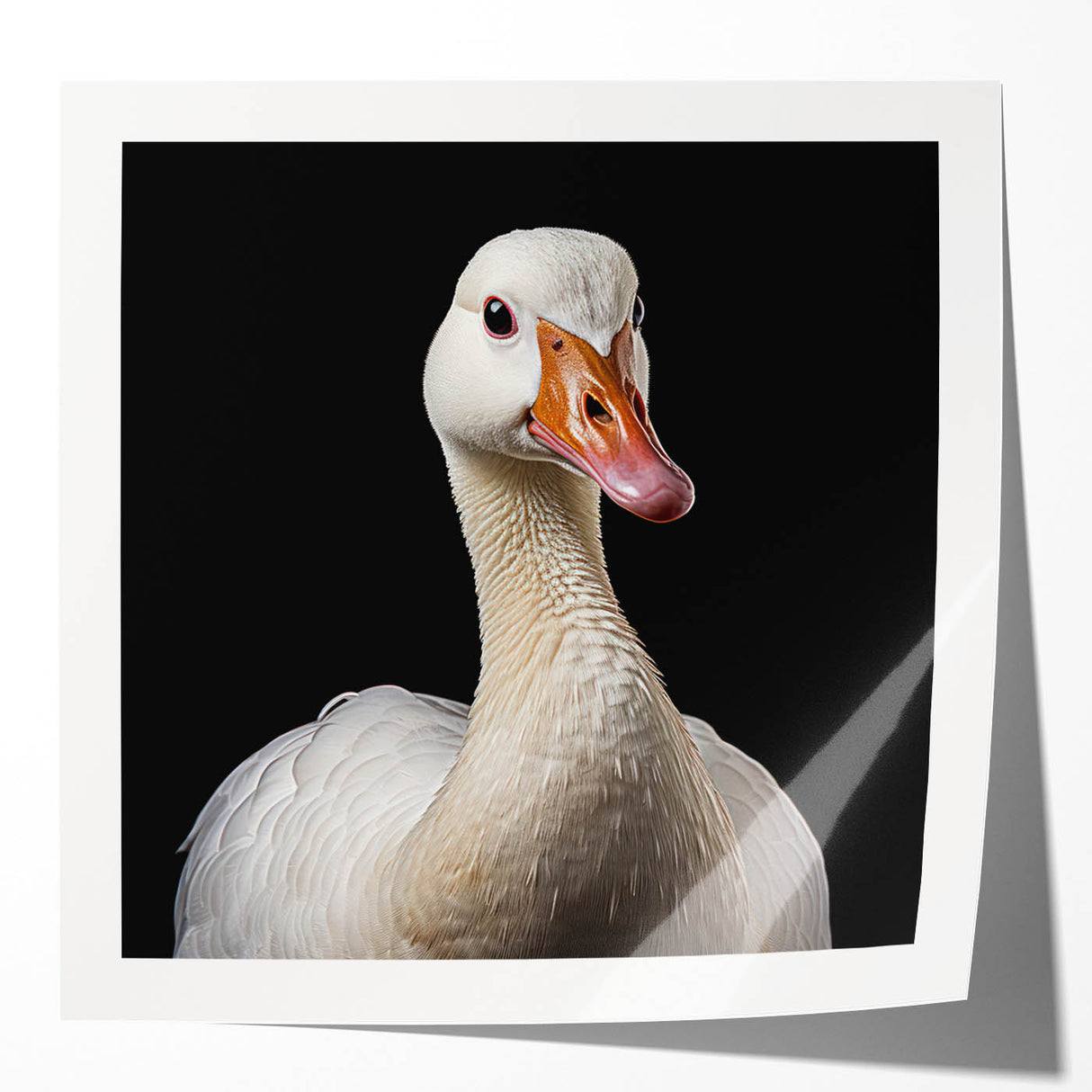 Glossy wall art print featuring a vibrant goose design, showcasing intricate details and bold colors, ideal for enhancing home decor with a nature-inspired theme.
