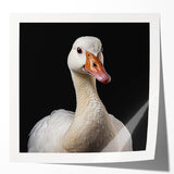 Glossy wall art print featuring a vibrant goose design, showcasing intricate details and bold colors, ideal for enhancing home decor with a nature-inspired theme.