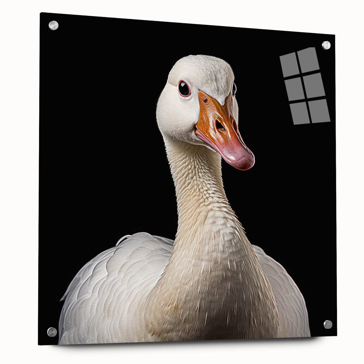 Acrylic glass wall art featuring a modern goose design, displayed from the side with decorative pins, ideal for enhancing contemporary home decor.