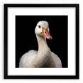Framed wall art featuring a black mat and a stylish goose design, perfect for modern decor. The artwork adds a touch of elegance to any living space, showcasing intricate details and vibrant colors.