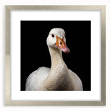 Framed wall art featuring a stylish goose design in a silver frame with a mat, ideal for modern home decor, showcasing intricate details and vibrant colors.