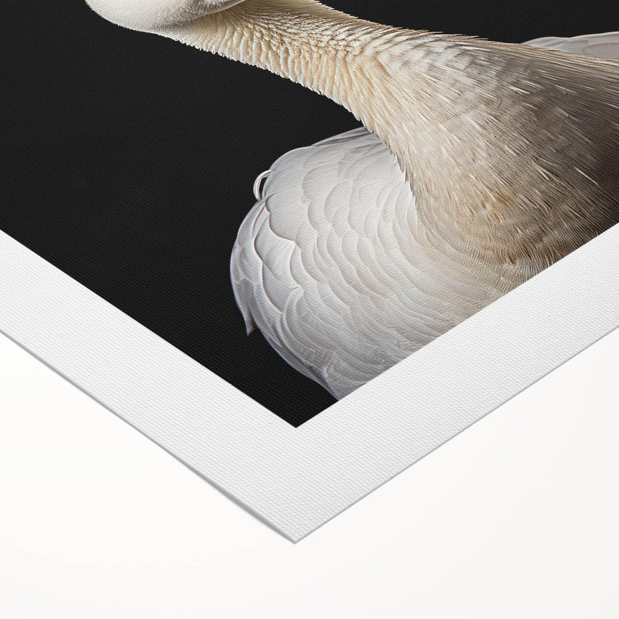 Rolled canvas wall art showcasing a vibrant goose design with intricate details, perfect for home decor. The artwork is elegantly packaged in a protective tube for safe delivery.