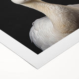 Rolled canvas wall art showcasing a vibrant goose design with intricate details, perfect for home decor. The artwork is elegantly packaged in a protective tube for safe delivery.