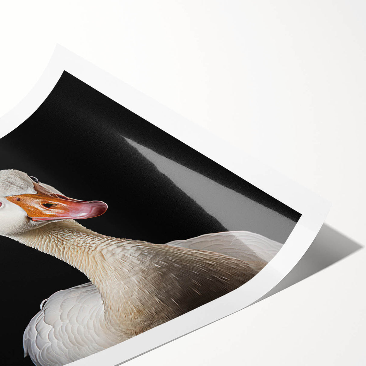 Elegant rolled print showcasing a striking goose design in vibrant colors, perfect for modern home decor. Ideal for wall art enthusiasts seeking unique artwork.