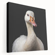 Stretched canvas wall art showcasing an elegant goose design, featuring vibrant colors and intricate details, perfect for enhancing modern home decor.