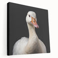 Stretched canvas wall art showcasing an elegant goose design, featuring vibrant colors and intricate details, perfect for enhancing modern home decor.