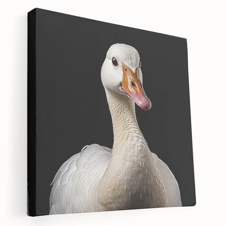 Stretched canvas wall art showcasing an elegant goose design, featuring vibrant colors and intricate details, perfect for enhancing modern home decor.