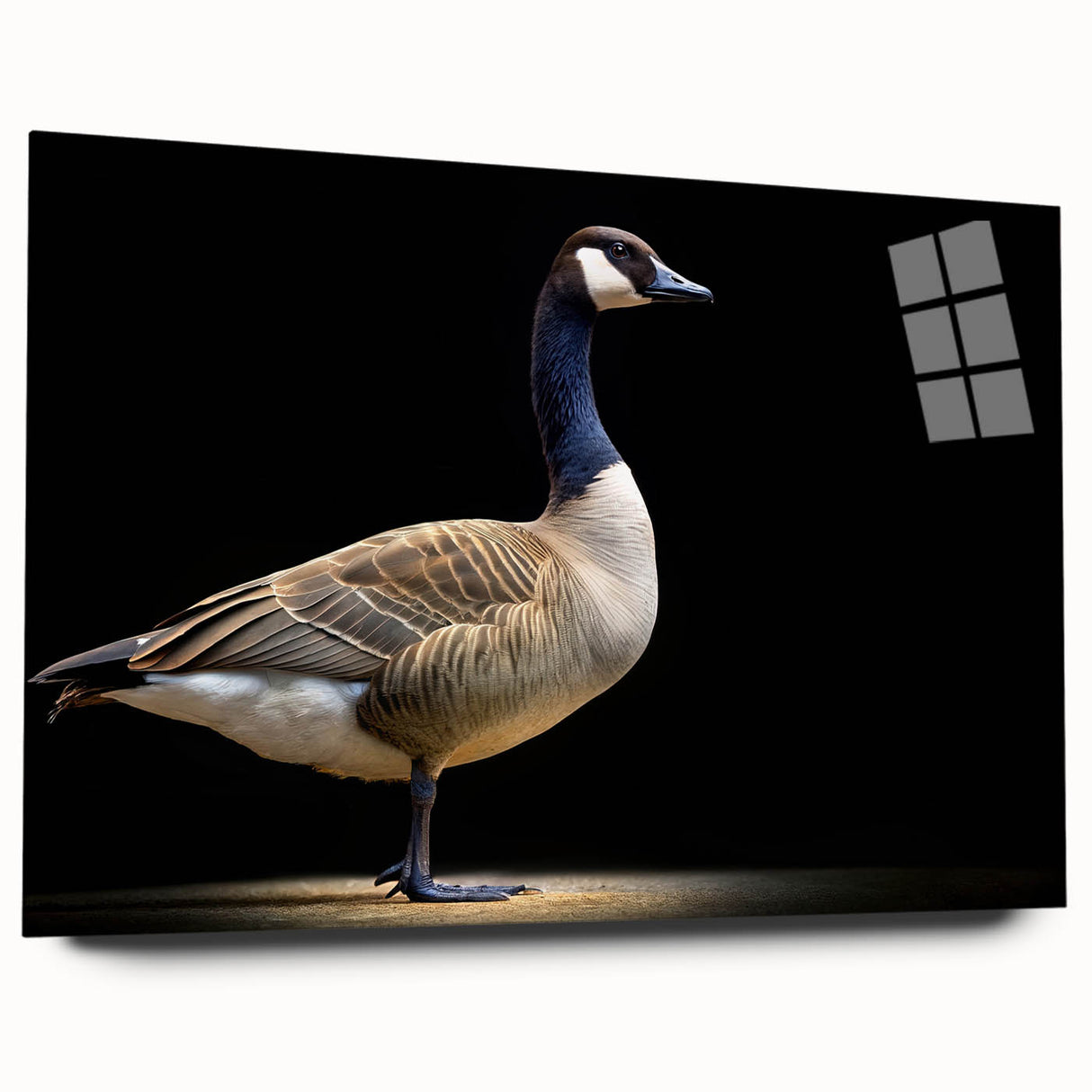 Acrylic wall art featuring a side view of a stylish goose design, showcasing vibrant colors and intricate details, perfect for modern home decor.