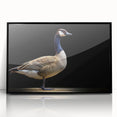 Framed wall art featuring a serene goose design with black acrylic frame, ideal for modern home decor. Perfect for adding a touch of nature to any room.
