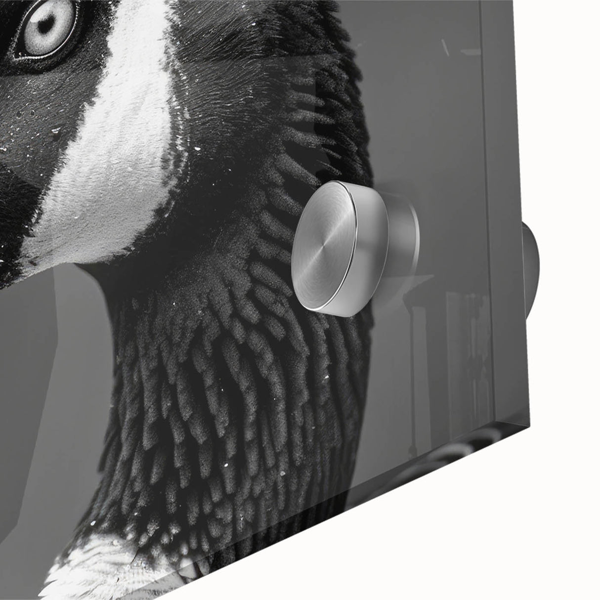 Close-up of a vibrant acrylic glass wall art piece featuring a stunning goose design, showcasing intricate details and vivid colors, perfect for home decor.