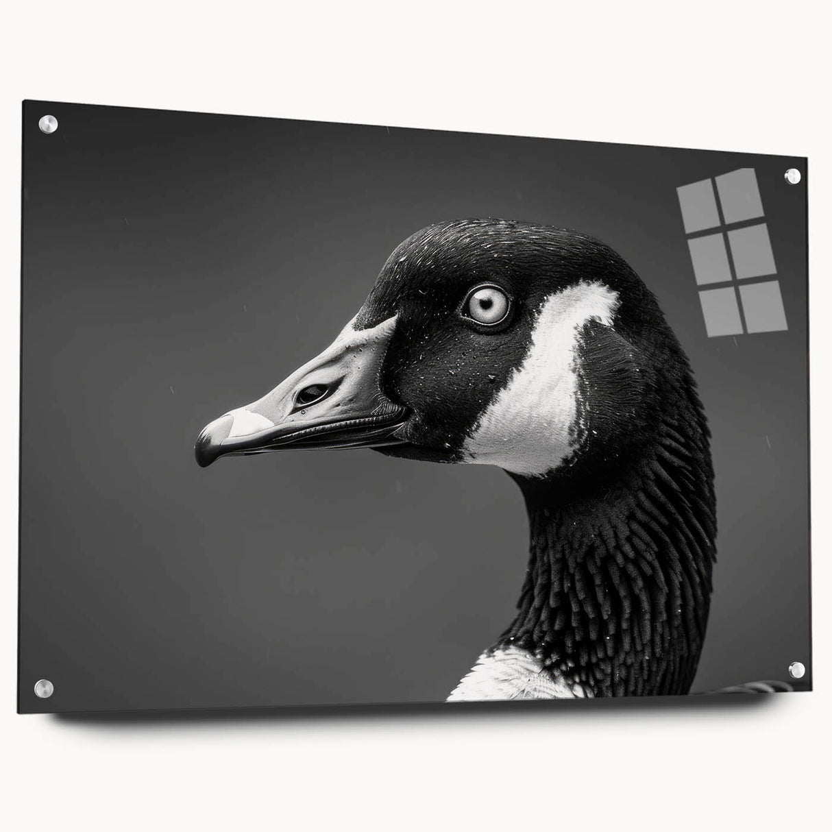 Elegant wall art collection showcasing a side view of three acrylic glass panels featuring a stylized goose design, mounted with decorative pins, ideal for modern home decor.