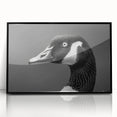 Framed wall art featuring a stylized goose design, showcased in a sleek black frame with acrylic glass, perfect for modern home decor.