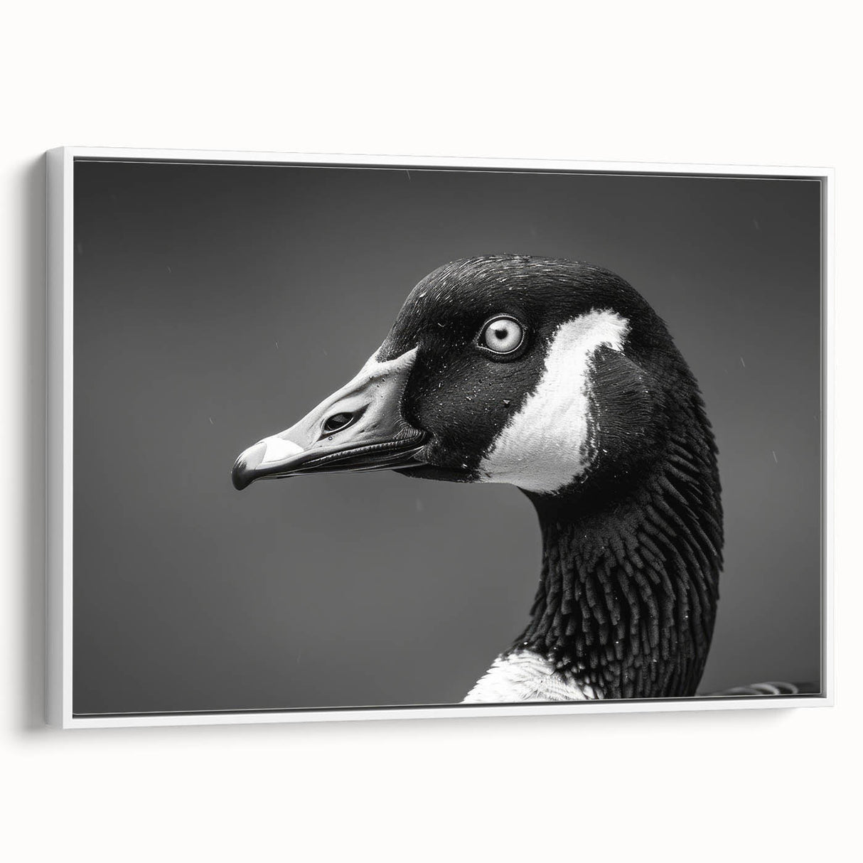 Framed canvas wall art featuring a serene goose design in a minimalist white frame, showcasing elegant colors and fine details, perfect for home decor.