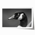 Elegant rolled print of a goose design wall art collection, showcasing intricate details and vibrant colors, perfect for enhancing home decor.