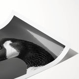 Goose design wall art collection featuring elegant waterfowl illustrations in soft pastel colors, rolled for easy display and shipping in a protective tube.