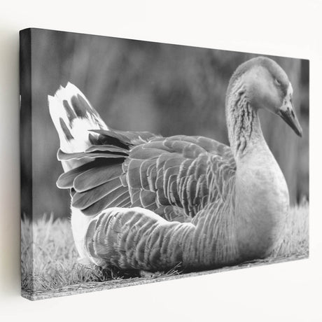 Side view of a stretched canvas wall art featuring a vibrant goose design, showcasing intricate details and rich colors, perfect for enhancing home decor.