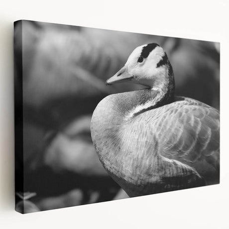 Stretched canvas wall art featuring a serene goose design in soft pastel colors, showcasing elegant birds against a tranquil background. Perfect for home decor.