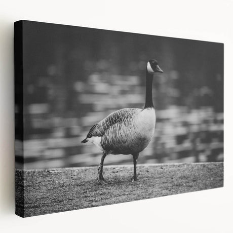 Stretched canvas wall art showcasing a serene goose design in soft pastel colors, perfect for home decor, adding elegance and tranquility to any space.