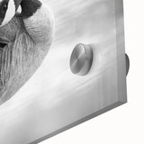 Close-up of a collection of wall art featuring elegant goose designs on acrylic glass, showcasing vibrant colors and intricate details, perfect for home decor.