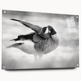 Acrylic glass wall art collection featuring a side view of a goose design, elegantly displayed with pins, showcasing vibrant colors and intricate details. Perfect for bird lovers and home decor enthusiasts.