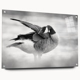Acrylic glass wall art collection featuring a side view of a goose design, elegantly displayed with pins, showcasing vibrant colors and intricate details. Perfect for bird lovers and home decor enthusiasts.