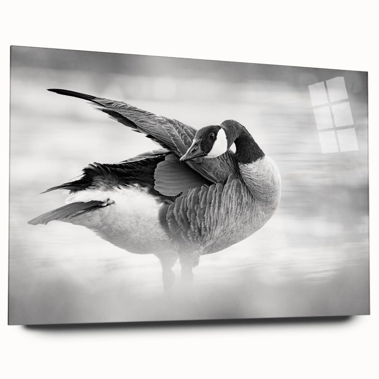 Acrylic wall art featuring a serene goose design in soft pastel colors, displayed from a side view, showcasing its glossy finish and modern aesthetic, perfect for home decor.