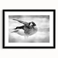 Framed wall art collection featuring a detailed goose design, presented in a sleek black frame with a white mat, ideal for home decor enthusiasts.