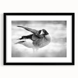 Framed wall art collection featuring a detailed goose design, presented in a sleek black frame with a white mat, ideal for home decor enthusiasts.