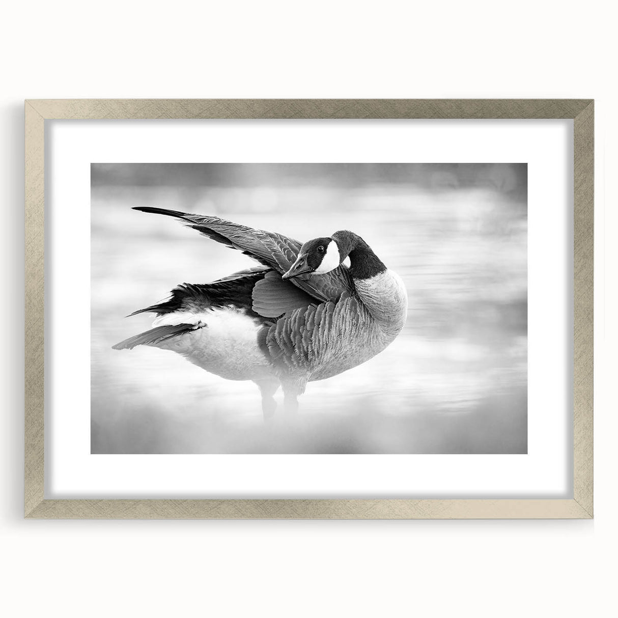 Framed wall art collection featuring an elegant silver mat with a goose design, ideal for enhancing home decor and adding a touch of sophistication to any room.